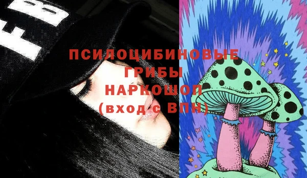 ПСИЛОЦИБИНОВЫЕ ГРИБЫ Абдулино