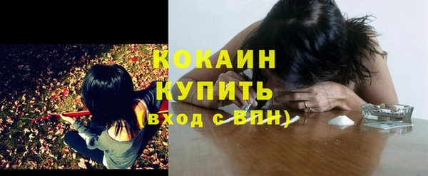 ПСИЛОЦИБИНОВЫЕ ГРИБЫ Абдулино