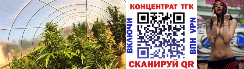 купить закладку  Уфа  ТГК концентрат 